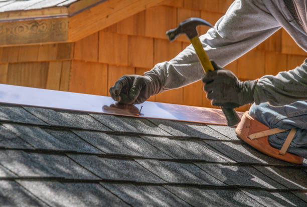 Best Roof Moss and Algae Removal  in Princess Anne, MD
