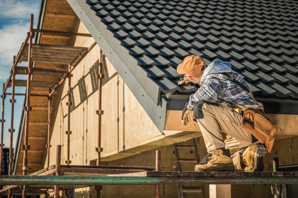 Best Asphalt Shingle Roofing  in Princess Anne, MD
